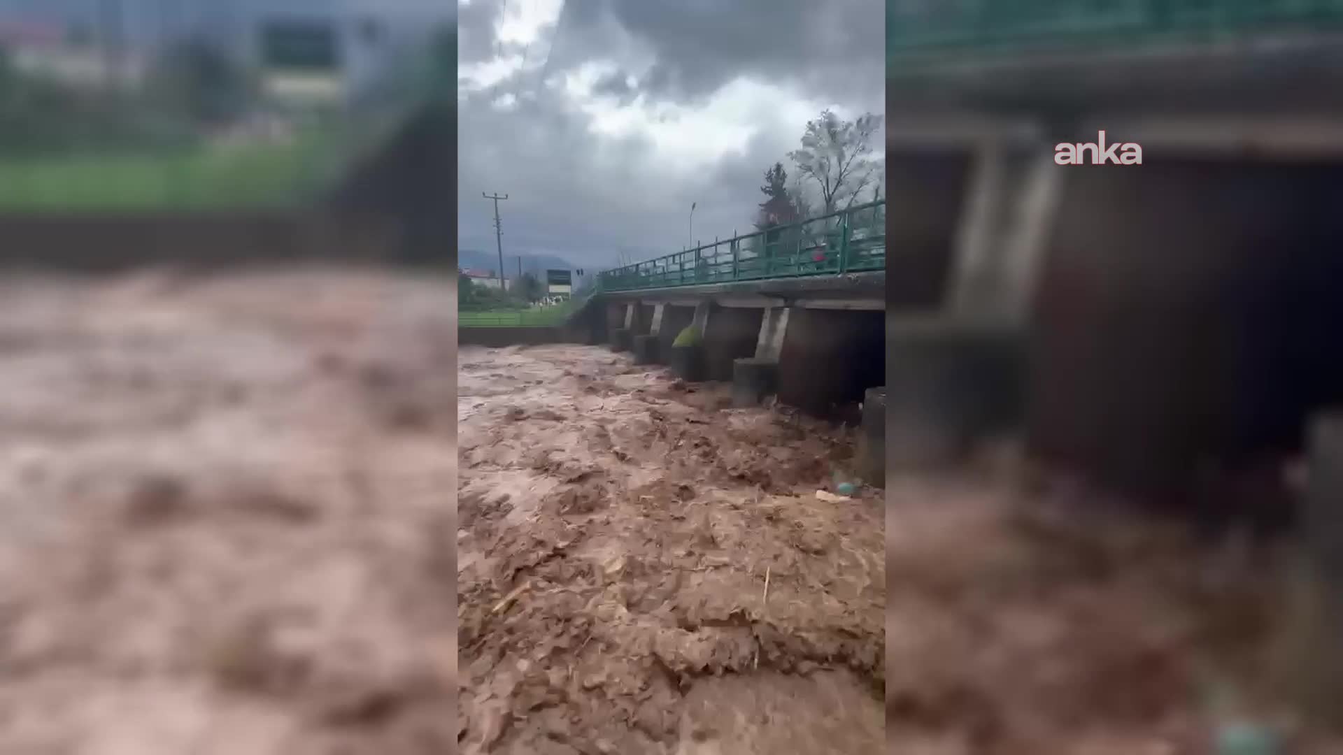 Köyceğiz'de şiddetli yağış sonrası seralar kullanılamaz hale geldi