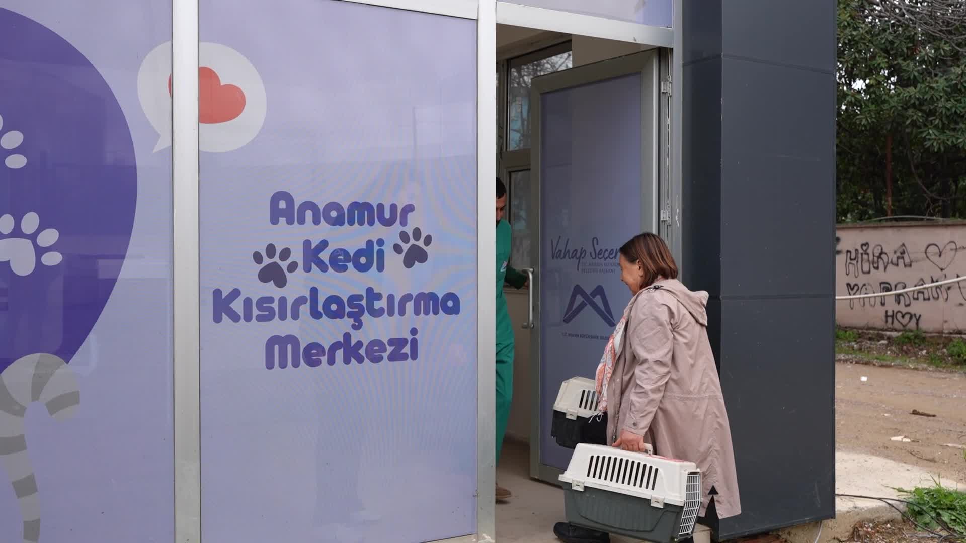 Mersin Büyükşehir Belediyesi'nin Anamur Kedi Kısırlaştırma Merkezi, can dostlara kapılarını açtı