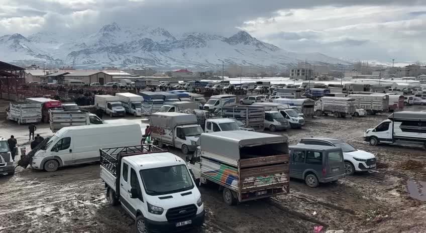 Van’da hayvan pazarı ramazan öncesinde bile hareketsiz: Altın fiyatı 50 bine dayandı ama koyun fiyatı yerinde sayıyor