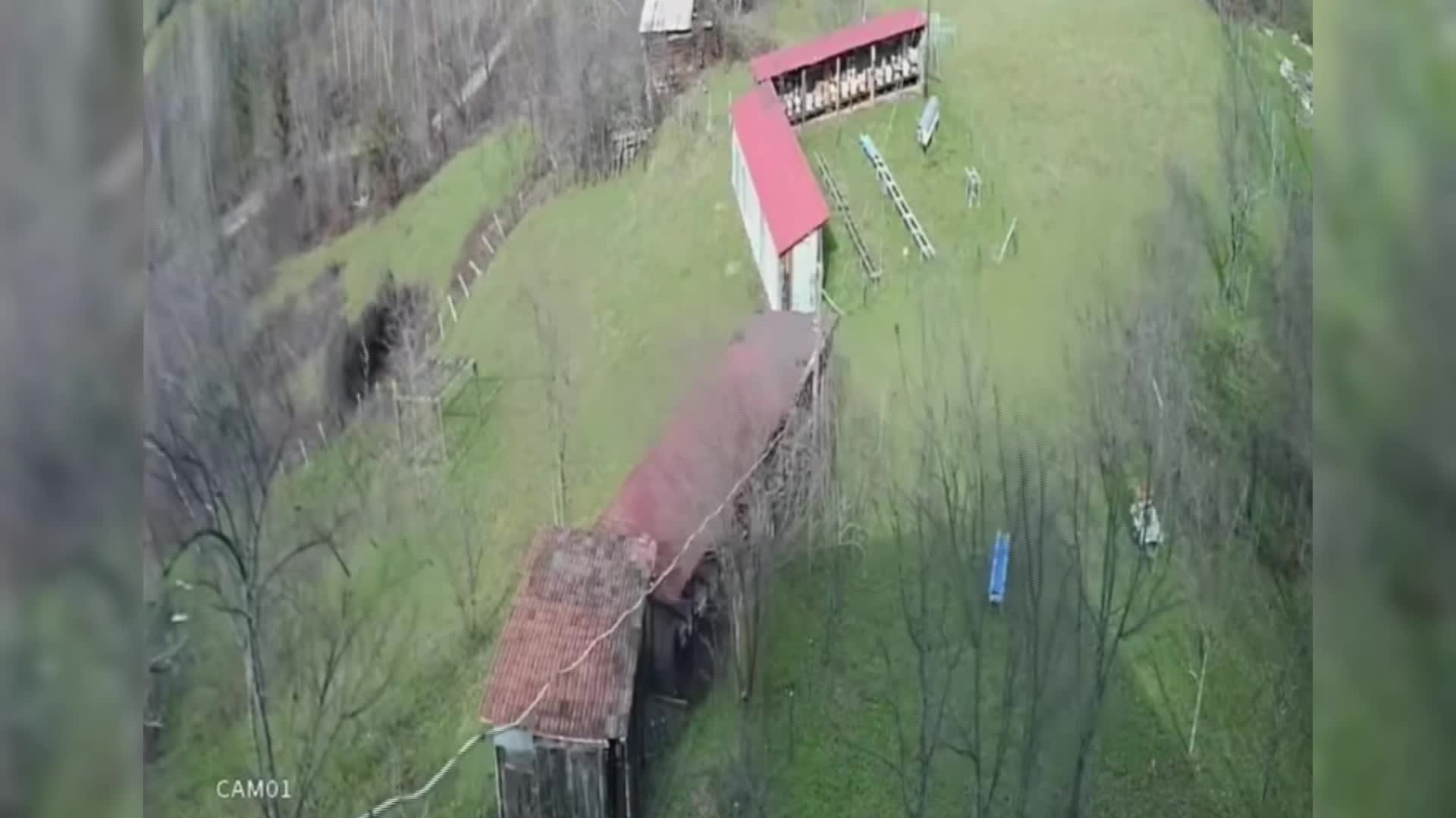 Sinop’ta fırtına arı kovanlarına zarar verdi