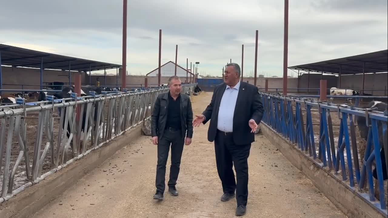 CHP’li Gürer: "İthalat, iddia edildiği gibi et fiyatlarını düşürmedi; aksine ülkeyi daha pahalı bir hayvancılık modeline mahkum etti"