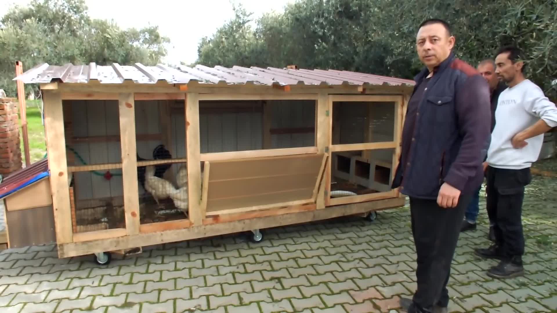 Burhaniyeli bakkal seyyar tavuk kümesi yaptı