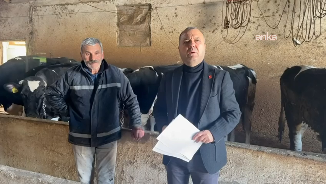 CHP'li Aygun'dan "2026 Yılı Besilik Sığır İthalatı Sözleşmesi"ne tepki: Büyük besiciye hiçbir koşul yok, küçük besiciye puan şartı ve ağır yaptırımlar var