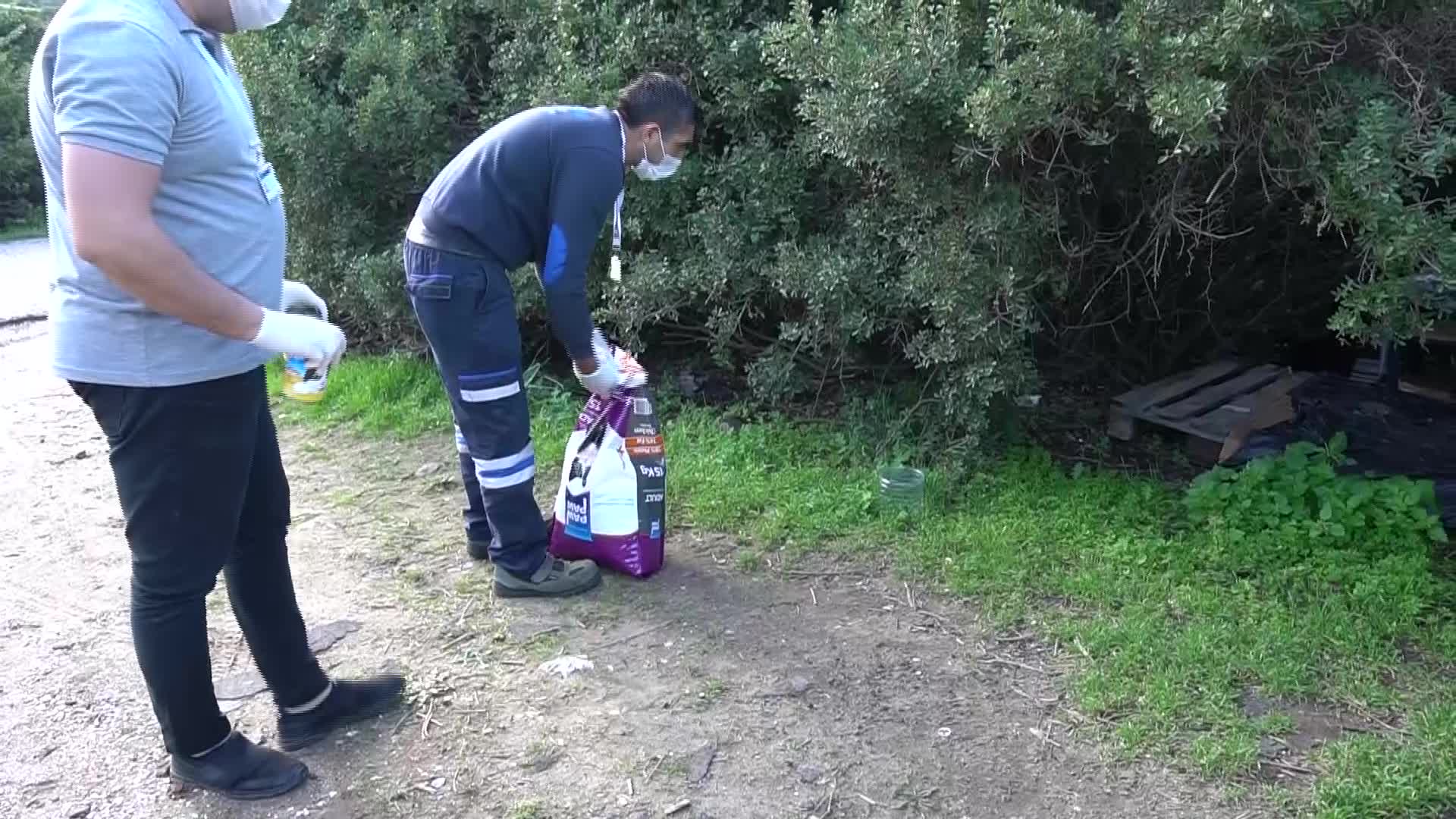 KEDİLER BESLENİP SAHİLDE TEMİZLİK ÇALIŞMASI YAPILDI