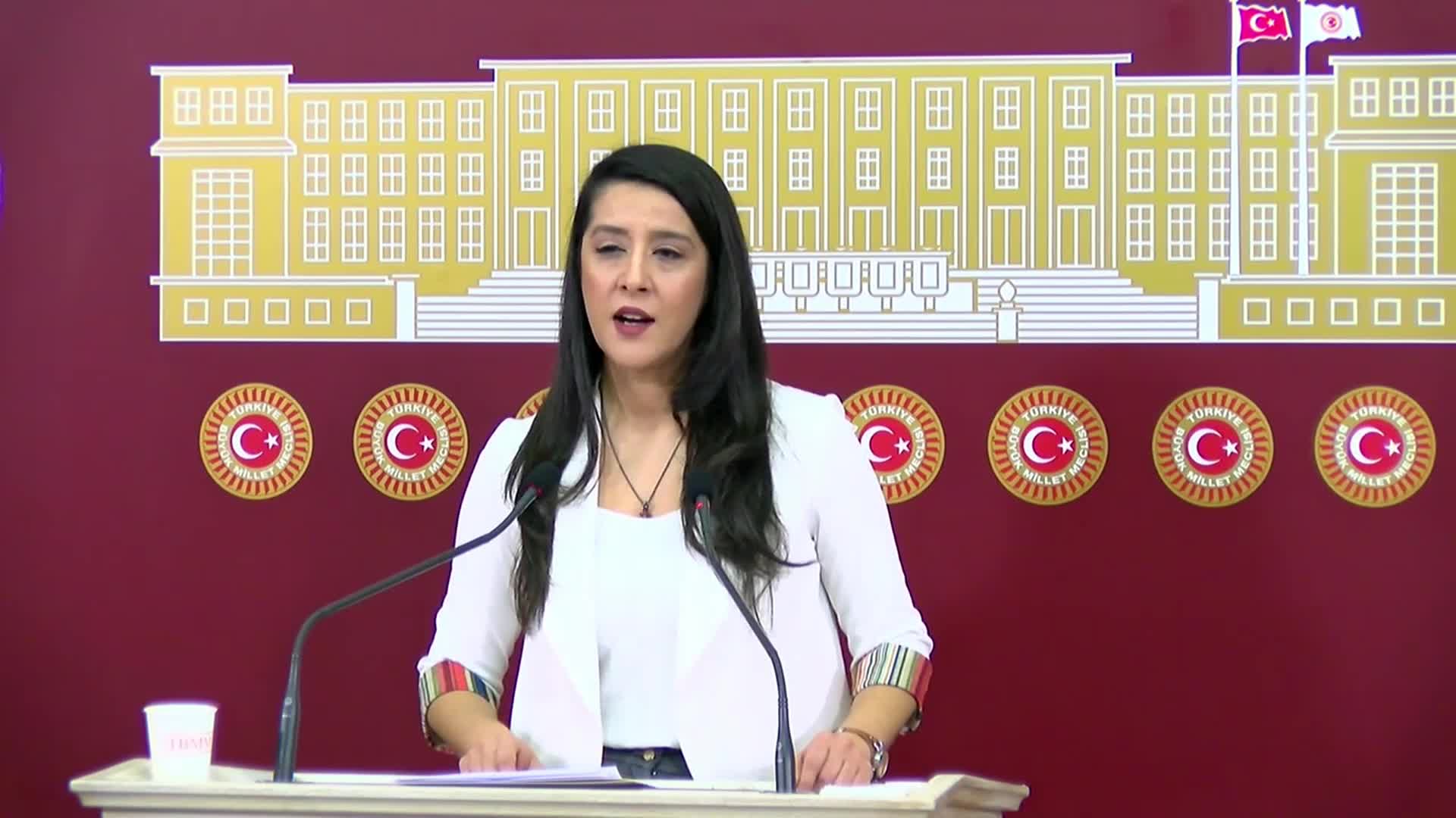 EMEP'li Karaca: "Kadınlar, şiddet karşısında etkili ve sürekli bir hukuki korumanın sağlanamadığını anlatıyor"