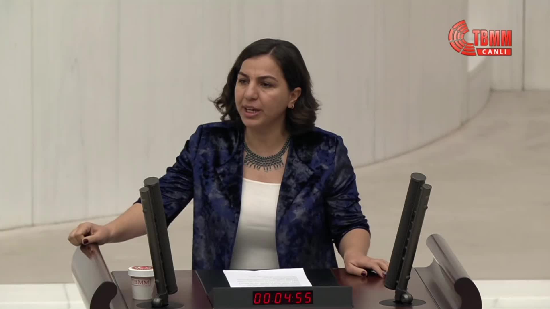 TBMM Genel Kurulu...  DEM Parti'nin Türkiye’de derinleşen çocuk yoksulluğunun nedenlerinin araştırılması amacıyla verdiği Meclis araştırması önergesi reddedildi