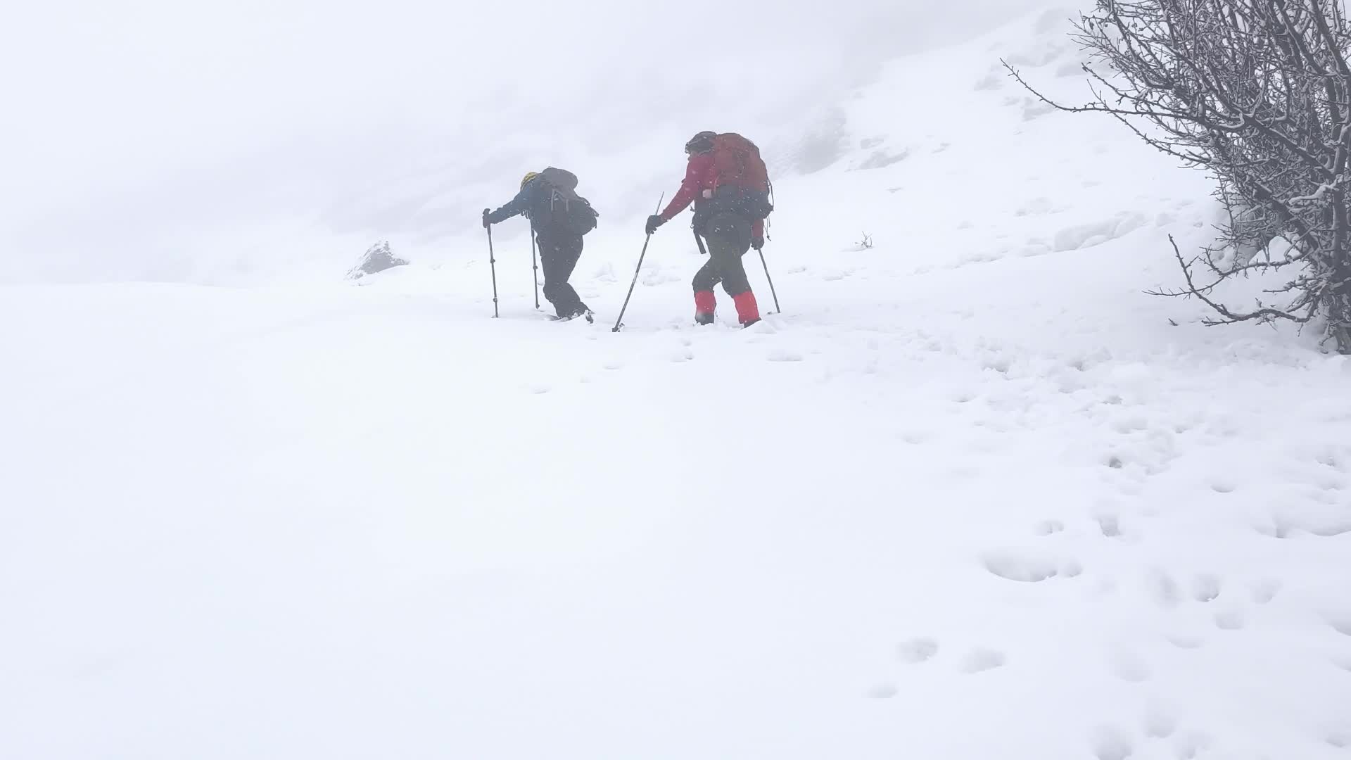 Tunceli’de 2 metrelik karda zirve yürüyüşü