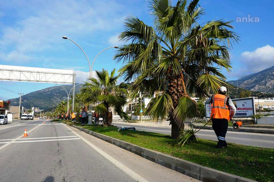 BODRUM BELEDİYESİ EKİPLERİ KISITLAMA GÜNLERİNDE DE SAHADA