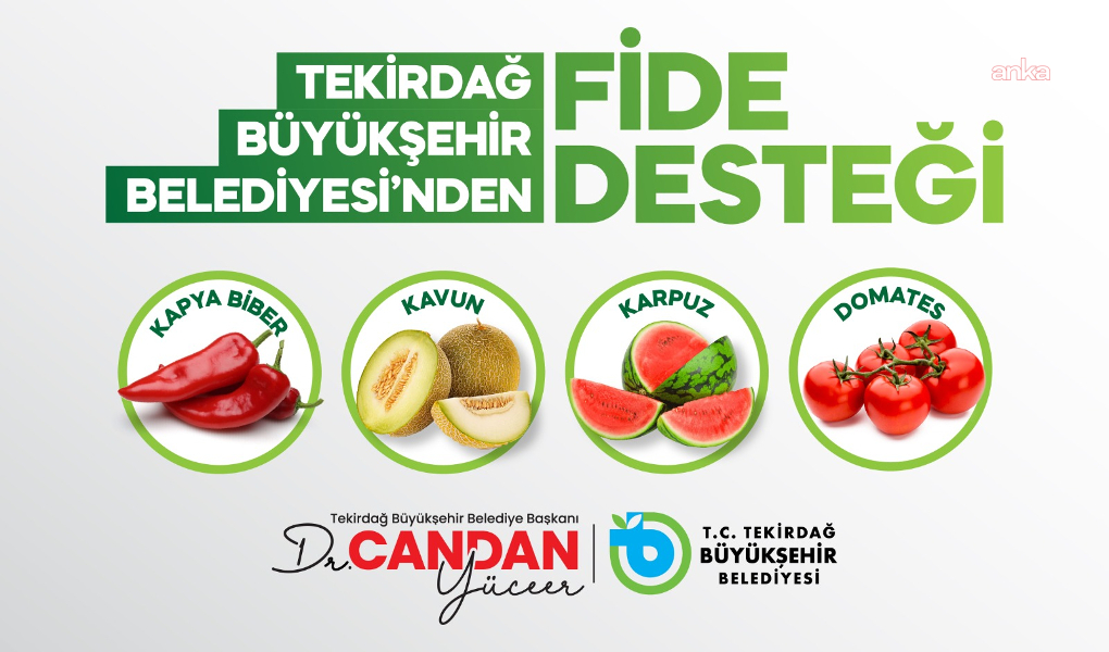 Tekirdağ Büyükşehir Belediyesi'nden sebze üreticilerine destek