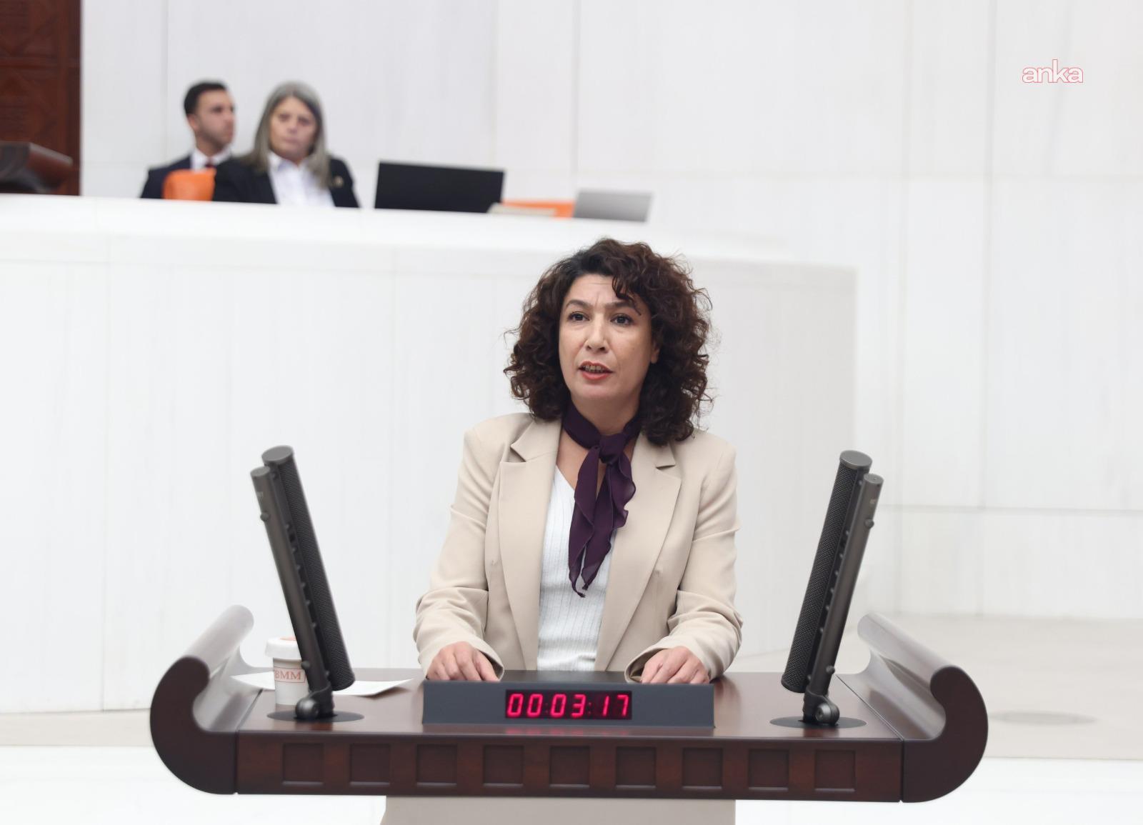 DEM Parti, TBMM Başkanlığı'ndan kadın cinayetleri için Genel Görüşme talep etti