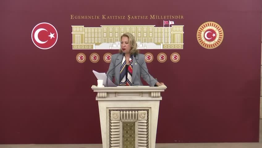 CHP'li Süreyya Öneş Derici'den Milli Parklar Kanunu teklifine tepki: Milli parklar sıradan kamu arazileri değildir