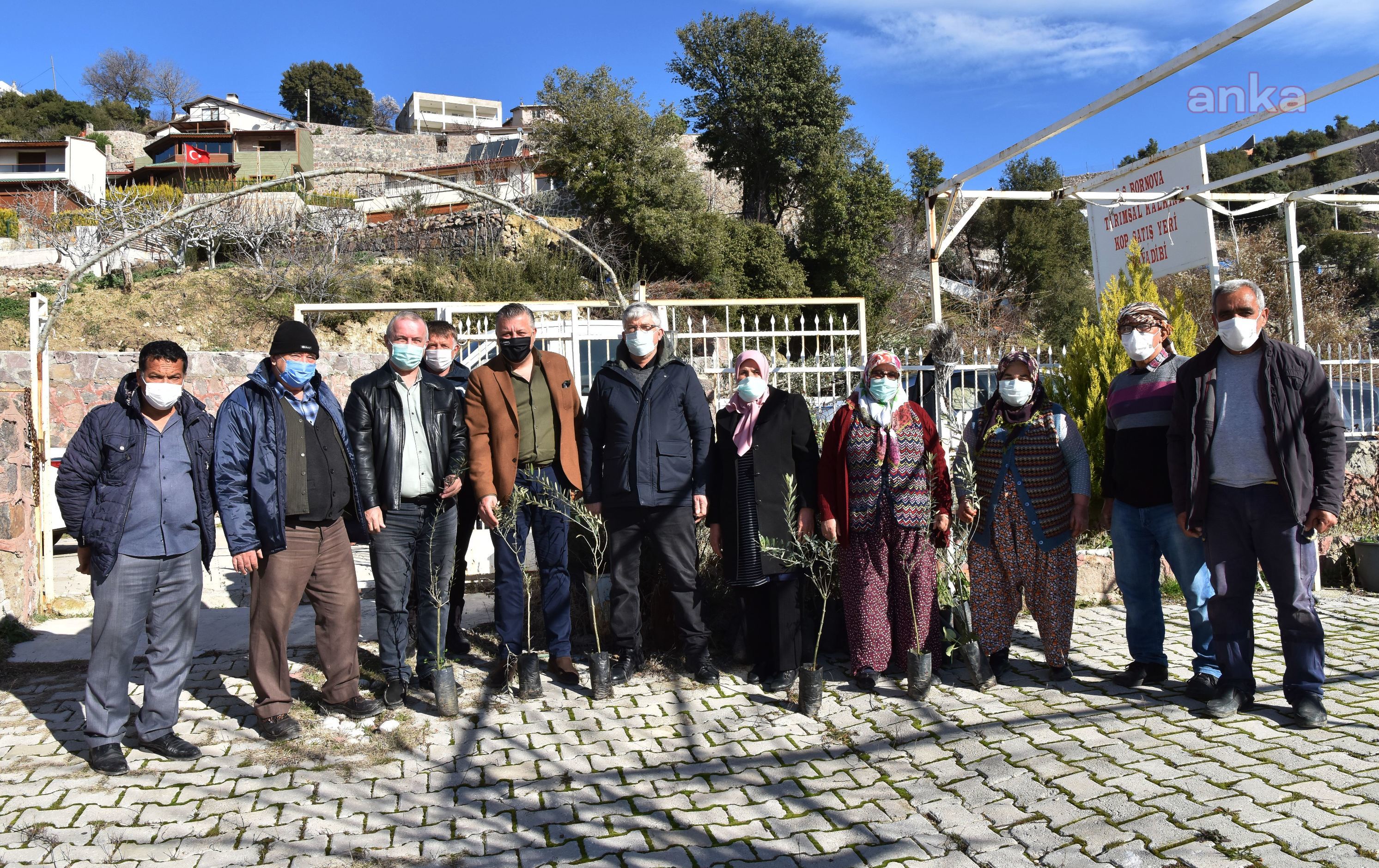 BORNOVA'DA 5 BİN FİDAN TOPRAKLA BULUŞUYOR