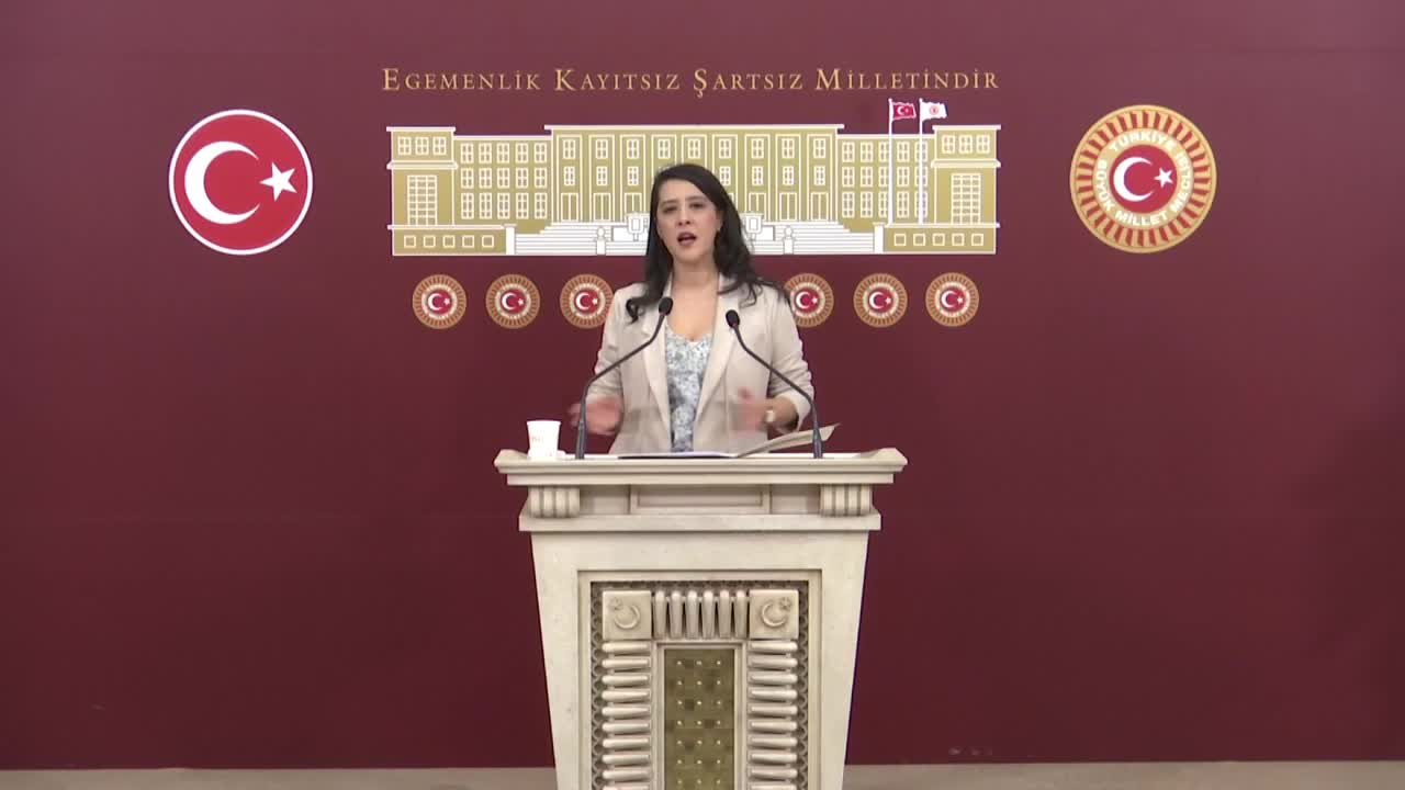 EMEP'li Karaca: "Soma Termik Santali de Polyak Maden İşletmesi de Divriği Madenleri de işçilere aynı zulmü uyguluyor"