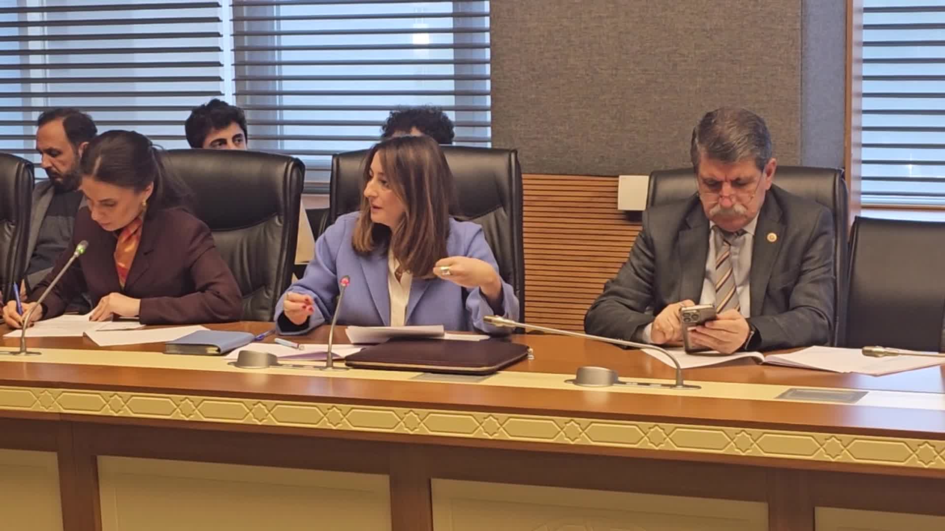 Suça Sürüklenen Çocuklar Komisyonu... CHP'li Bankoğlu'ndan Bakan Gürlek'in "Gerekirse çocuklar cezalarının tamamını yatacak" sözlerine tepki: "Bu komisyona saygısızlık"