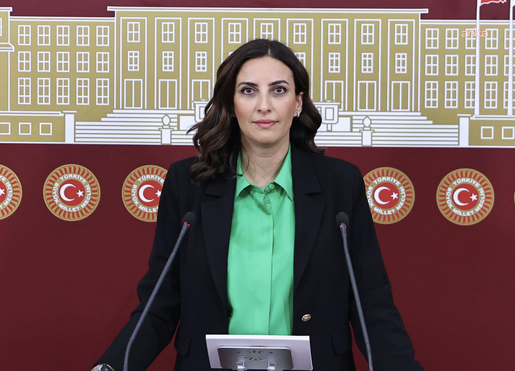 CHP'li Rızvanoğlu: Belgrad Ormanı'nın tamamına eşdeğer bir alan, orman vasfını yitirdi