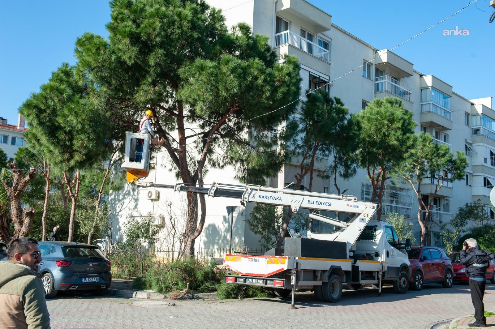 Karşıyaka’da ağaçlar bahara hazırlanıyor