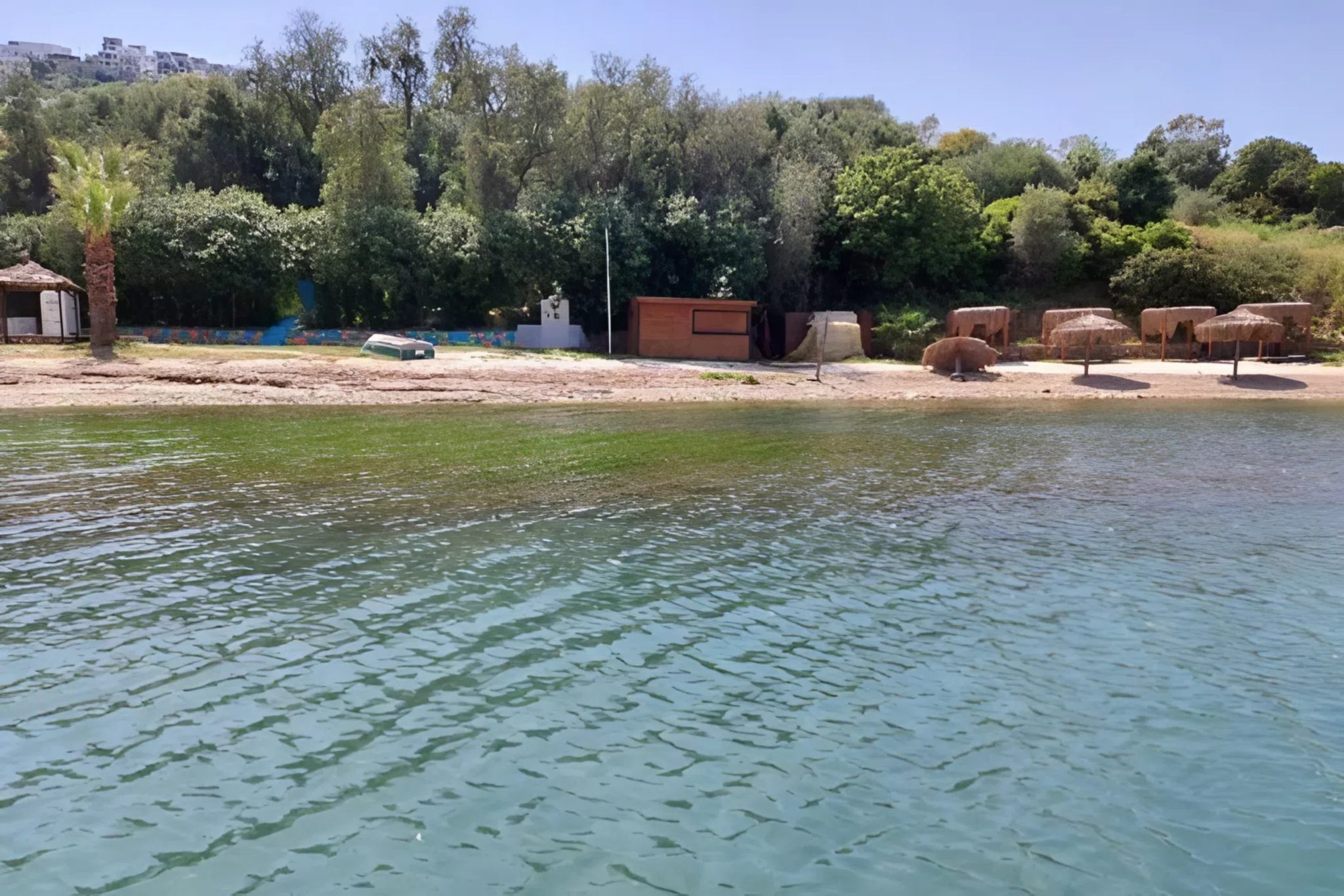 Milas Boğaziçi'ndeki balıkçı barınağı projesinin ÇED süreci sonlandırıldı