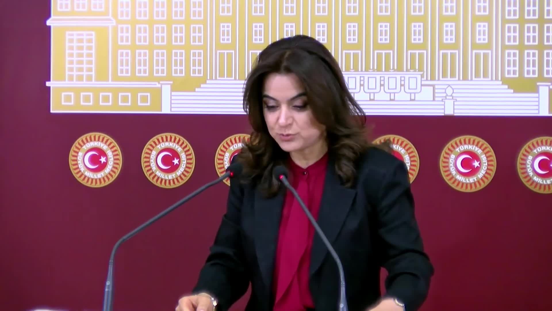 Gülistan Kılıç Koçyiğit'ten iktidara "süreç" çağrısı: "İktidar elini çabuk tutmalı"