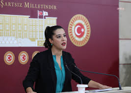 EMEP'li Karaca, Kenan Şener'in gözaltına alınmasını TBMM gündemine taşıdı