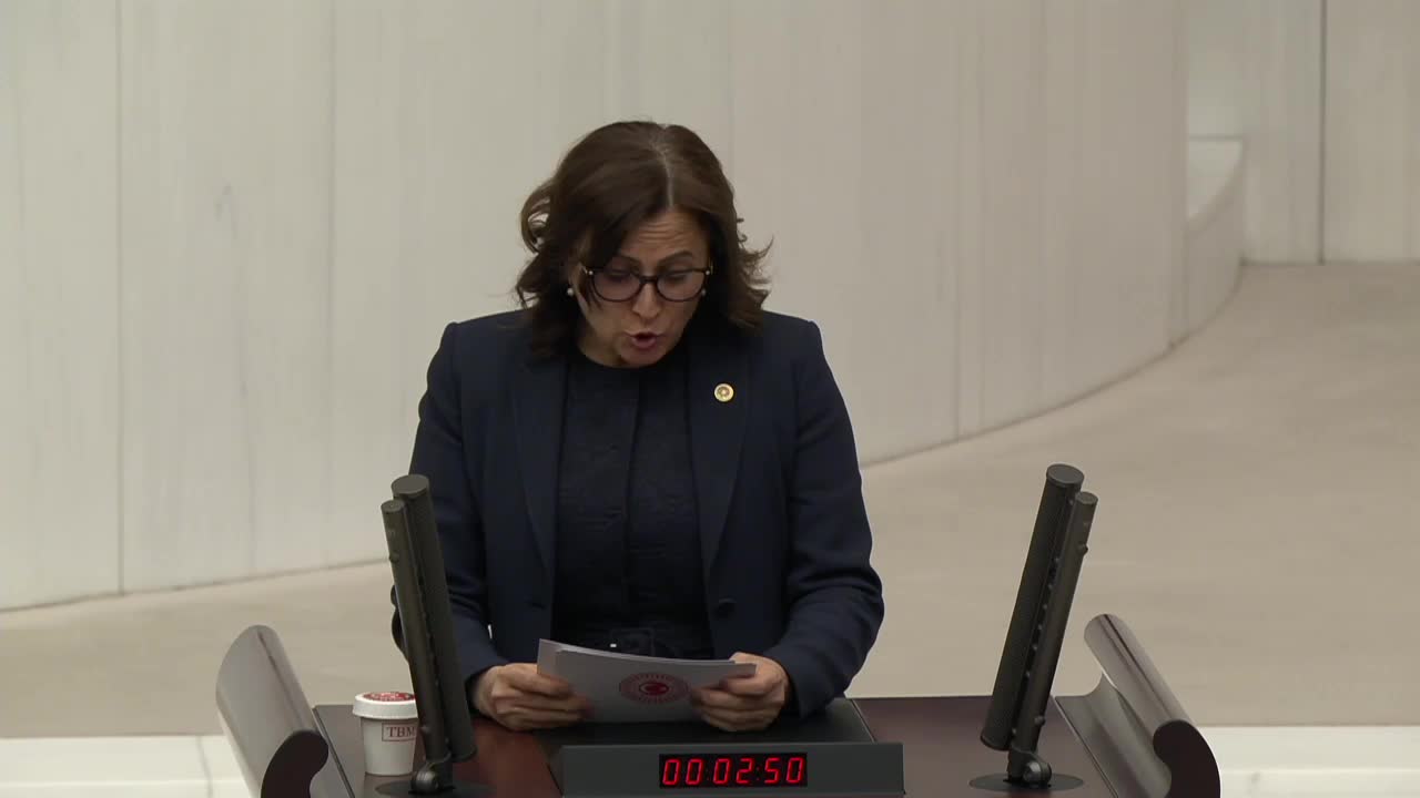 CHP'li Türkan Elçi: Cezasızlık ve öfke kültürü toplumu şiddete sürüklüyor