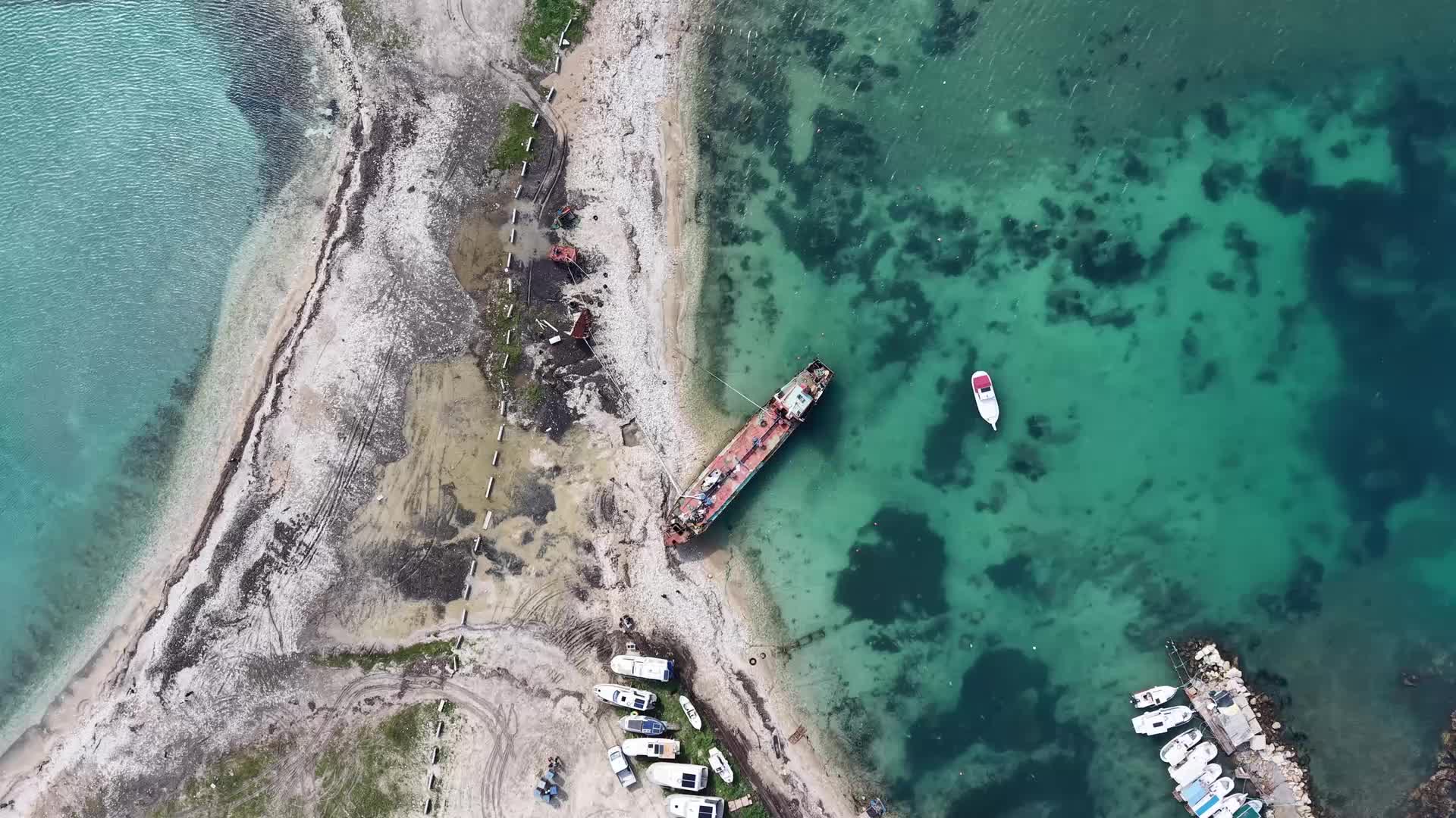Urla Belediye Başkanı Balkan’dan 'orman arazilerinde turizm yapılaşmasına’ tepki: Urla’da bir tane bile ağacın kesilmesine karşıyız