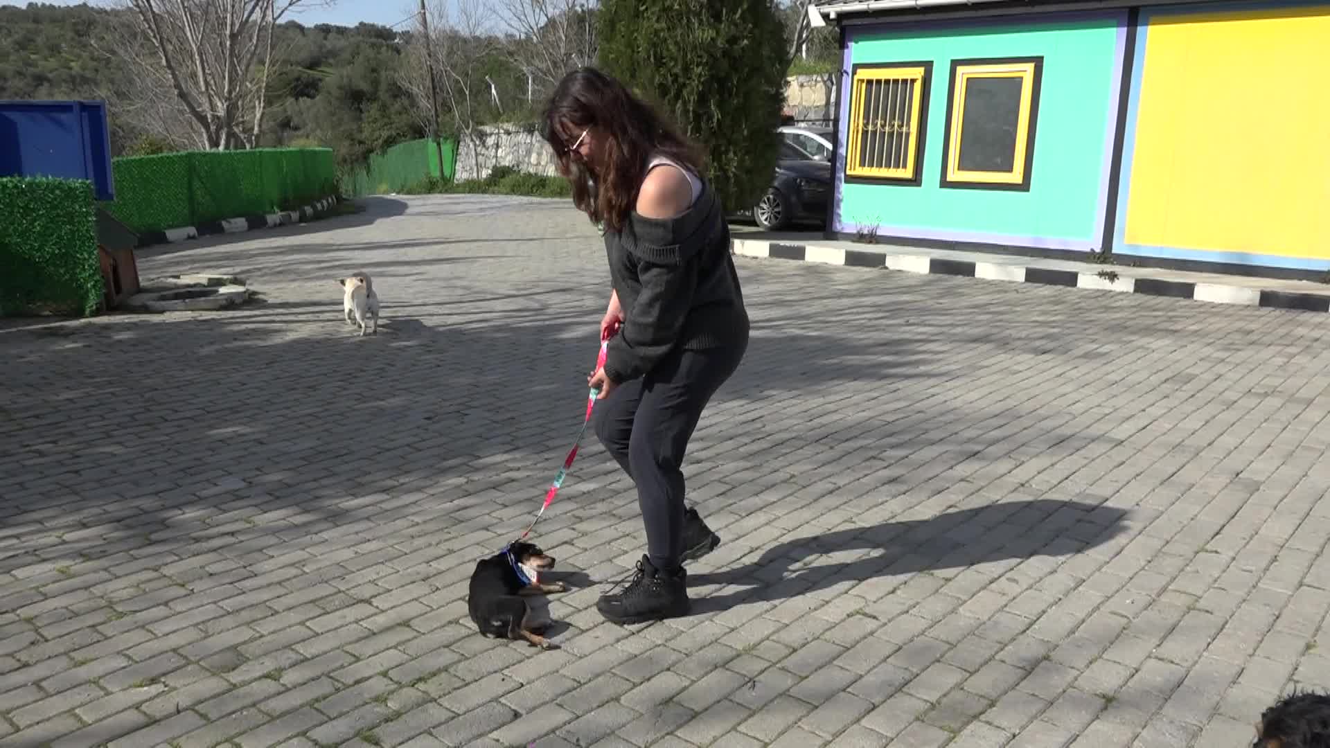Kuşadası Belediyesi, “Sosis” isimli yavru köpeği sıcak yuvasına kavuşturdu