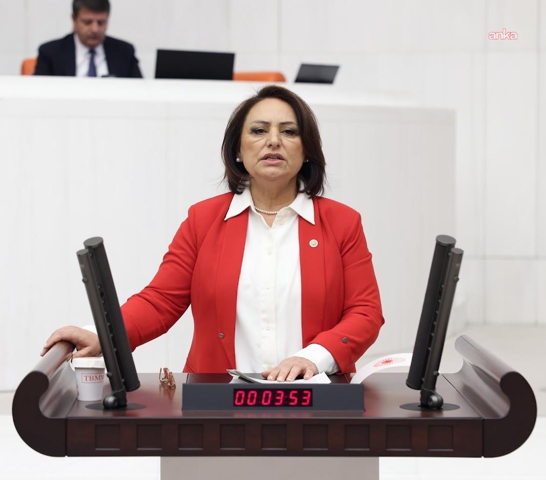CHP’li Şevkin: "Adana’da yaşanan her taşkın bize şunu göstermektedir: Su yönetimi yatırımları ertelenemez"