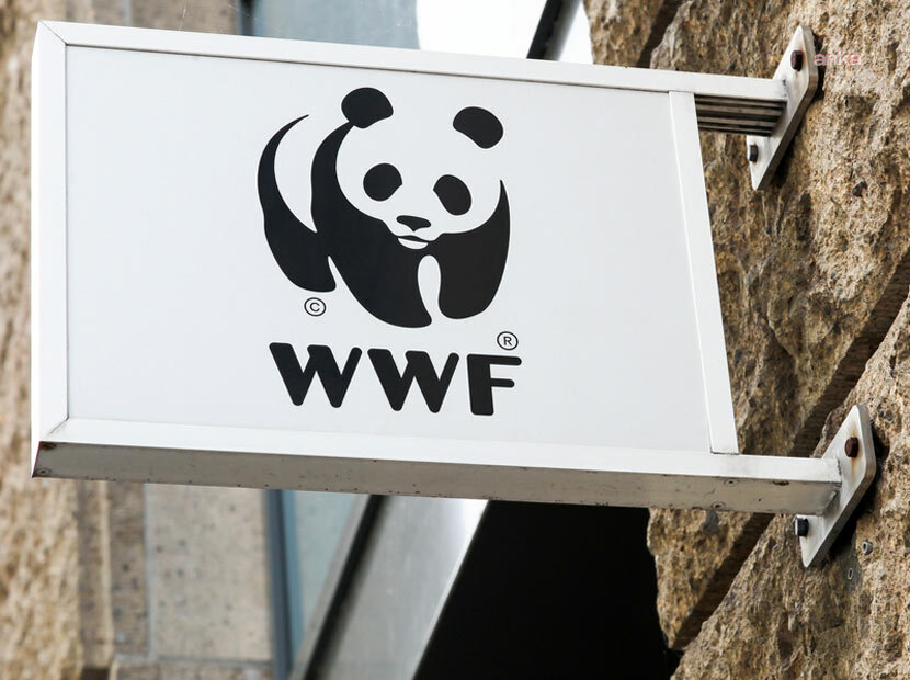 WWF-Türkiye’den Milli Parklar Kanunu tepkisi: “Dağ çökerse şehir göçer”
