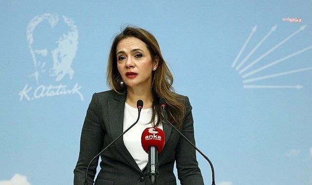 CHP’li Gamze Akkuş İlgezdi: "Vatandaşın verisini güvene almak devletin asli görevidir"