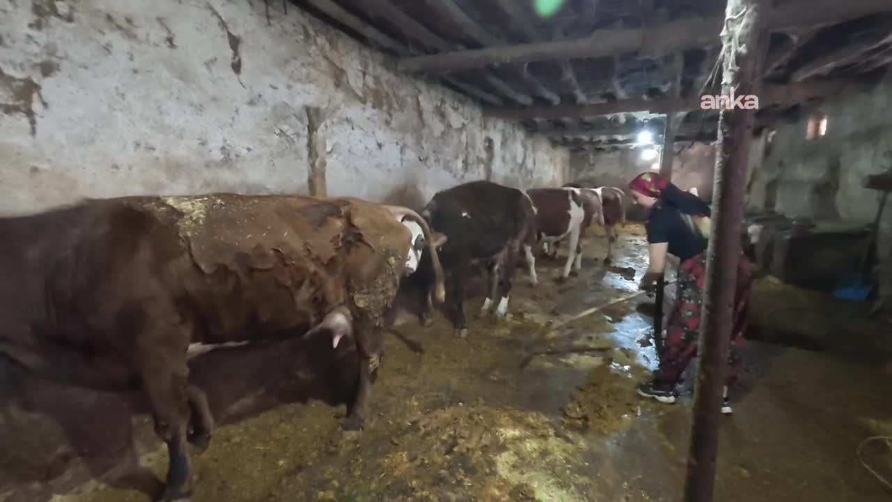 Dünya Emekçi Kadınlar Günü… Yozgatlı genç çiftçi Buse Koç: “Köyde kadınlar toplanıyoruz. Davulumuzu kendimiz çalıyoruz, türkülerimizi kendimiz söylüyoruz”