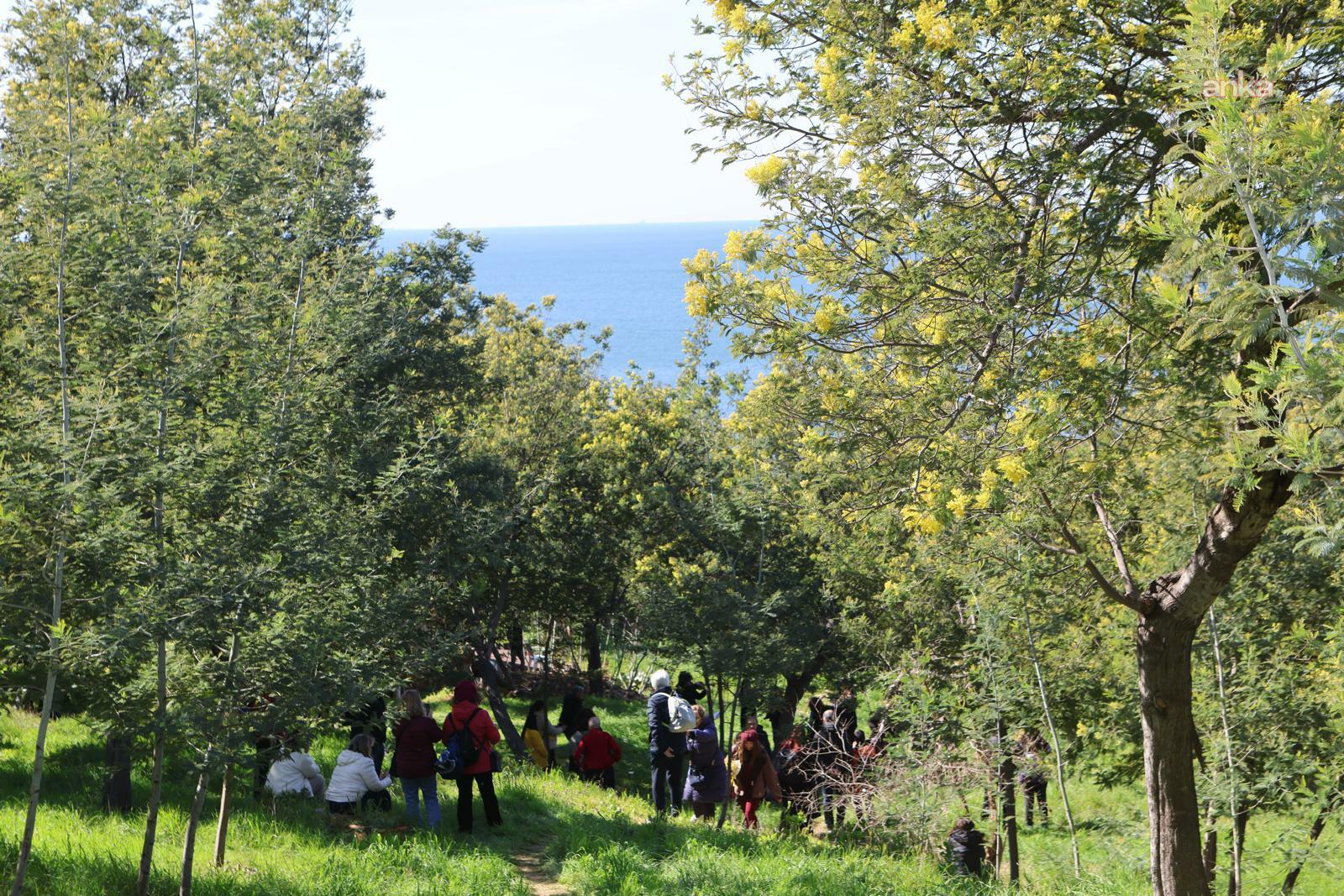 Adalar Mimoza Festivali, kadın dayanışması, sanat ve barış mesajları ile sona erdi