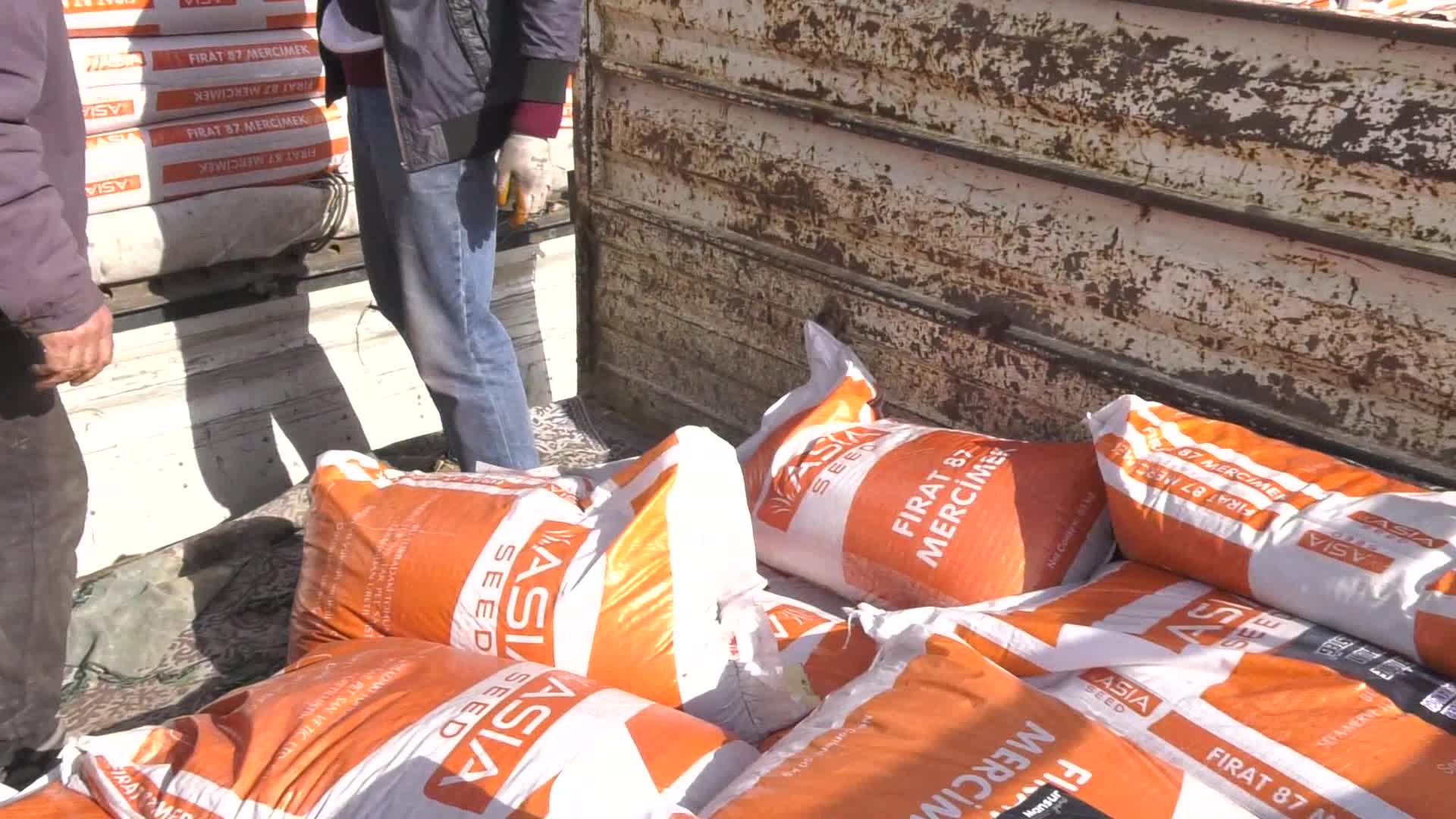ANKARA BÜYÜKŞEHİR, BU KEZ KIRMIZI MERCİMEK TOHUMU DAĞITTI
