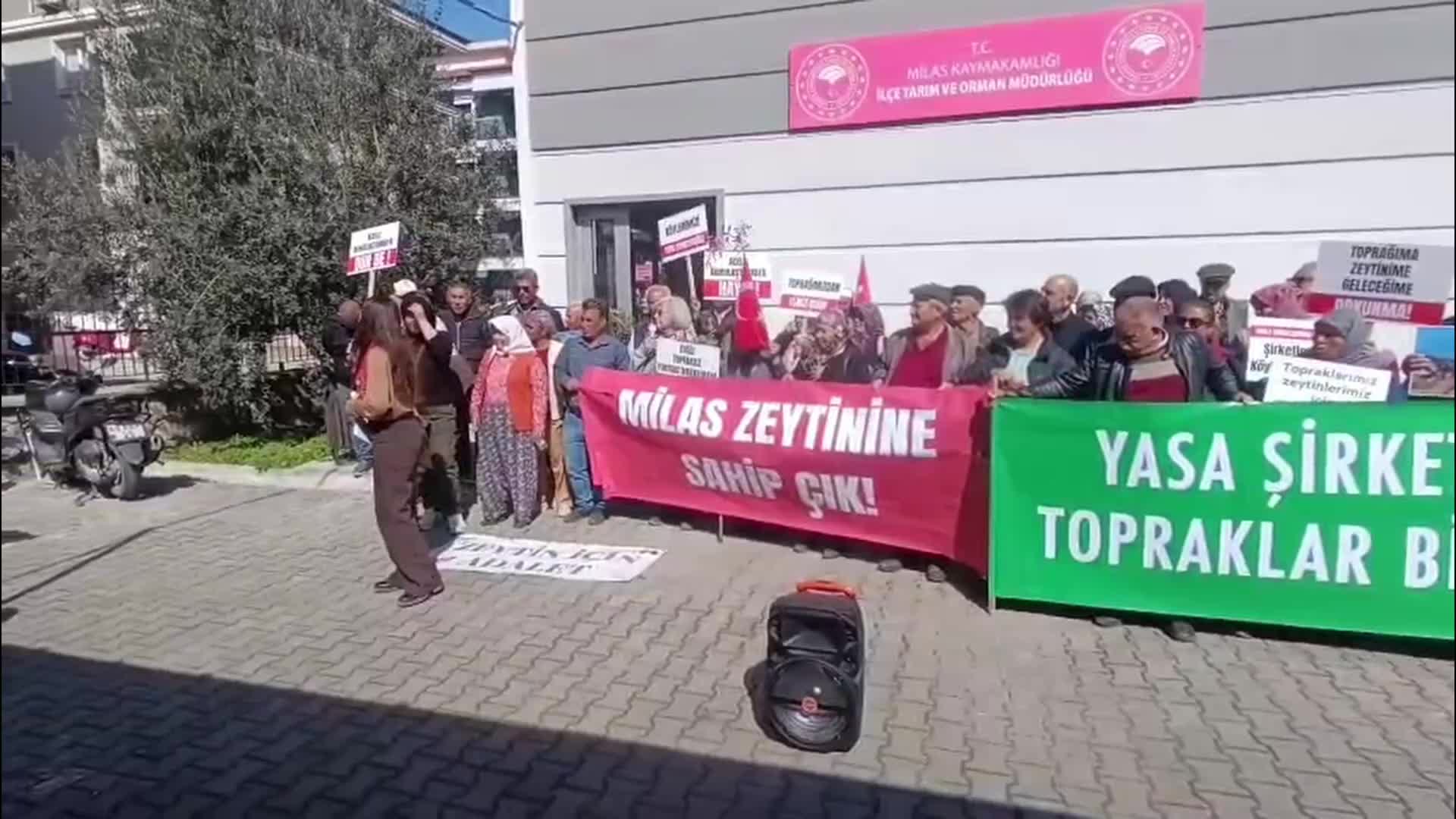 Milas'ta zeytin tepkisi: Milas, YK Enerji Şirketi'nin çiftliği değil