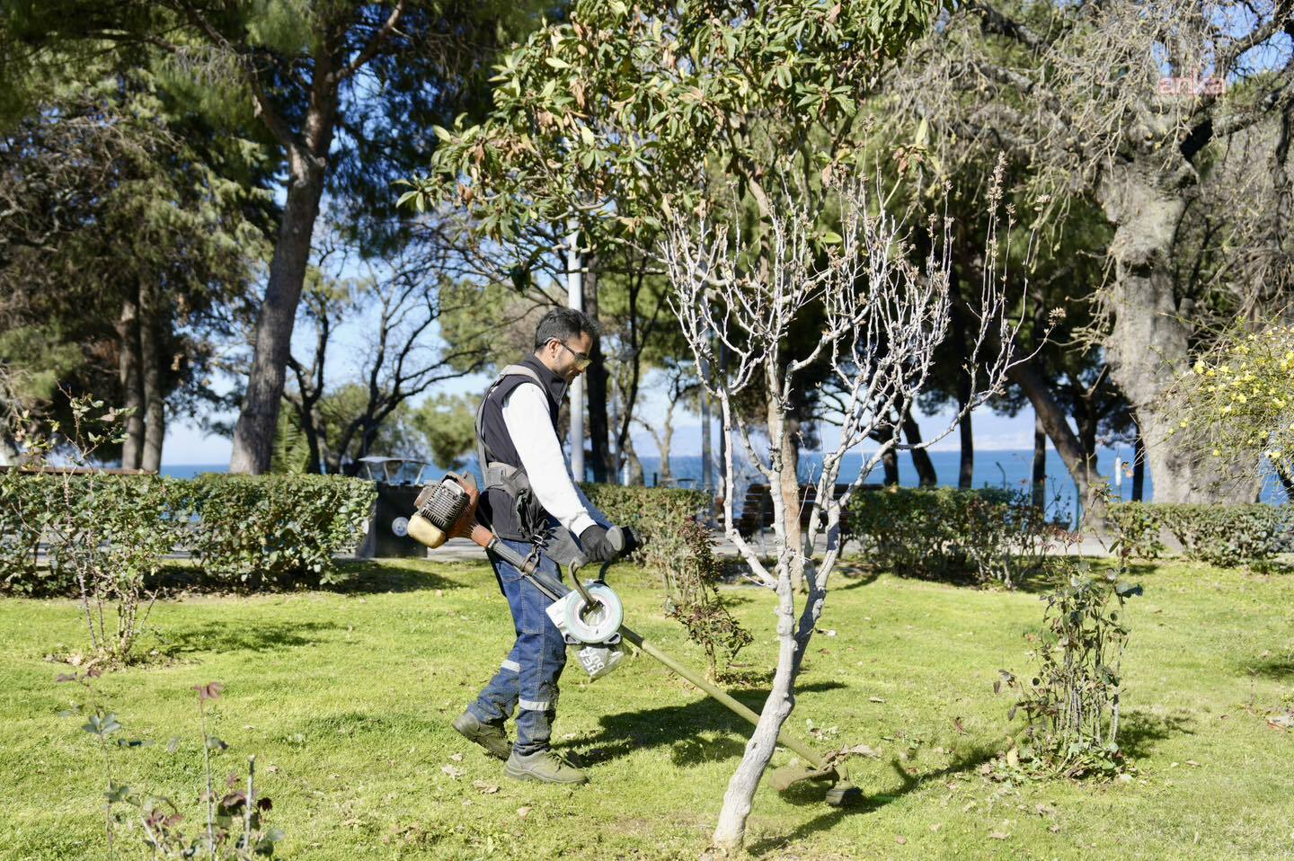 Burhaniye'de park ve yeşil alanlarda bahar temizliği