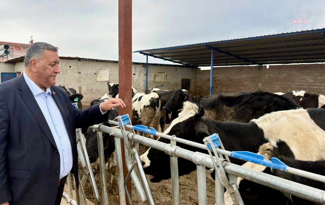 CHP'li Gürer: "İthal yemlerdeki fiyat artışı hayvancılığın sürdürülebilirliğini tehdit ediyor"