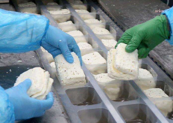Hürmüz Boğazı'nın kapanması... KKTC Süt Üreticileri Birliği Başkanı Avunduk: “Aylık 850 ton hellim depolarda bozulma riskiyle karşı karşıya”