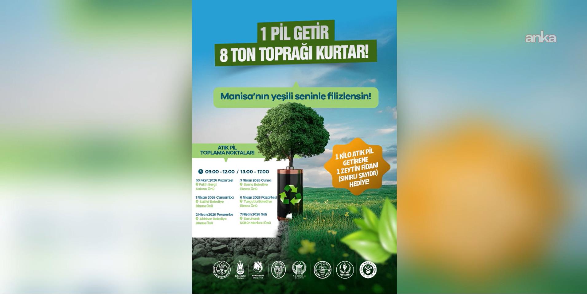 Manisa’da çevre seferberliği yeniden başlıyor: Atık pil getir, zeytin fidanını götür