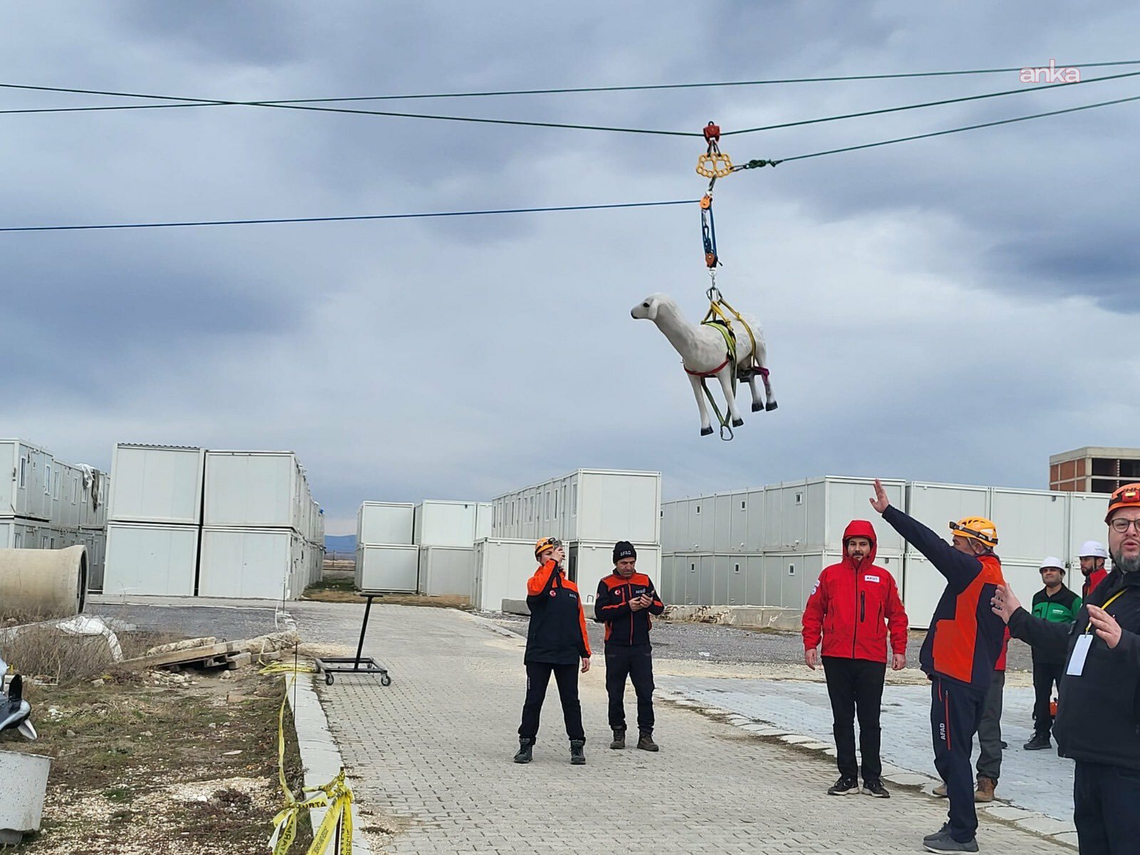 AFAD'dan afetlerde hayvanların korunmasına yönelik uluslararası proje