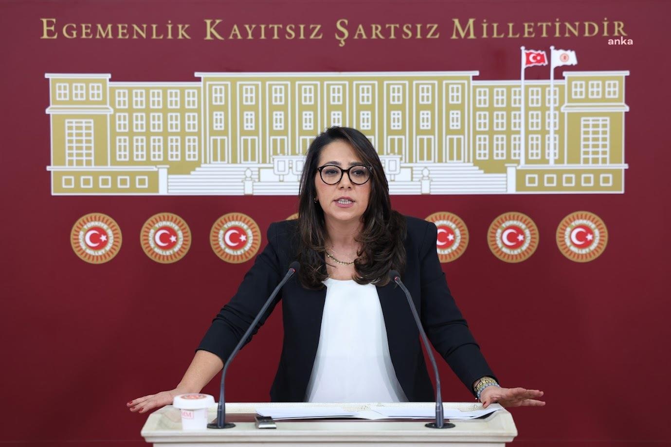 TİP'li Kadıgil, Bakan Tekin'in yanıtlaması istemiyle lisans öğretim süresinin üç yıla indirilmesine ilişkin soru önergesi verdi