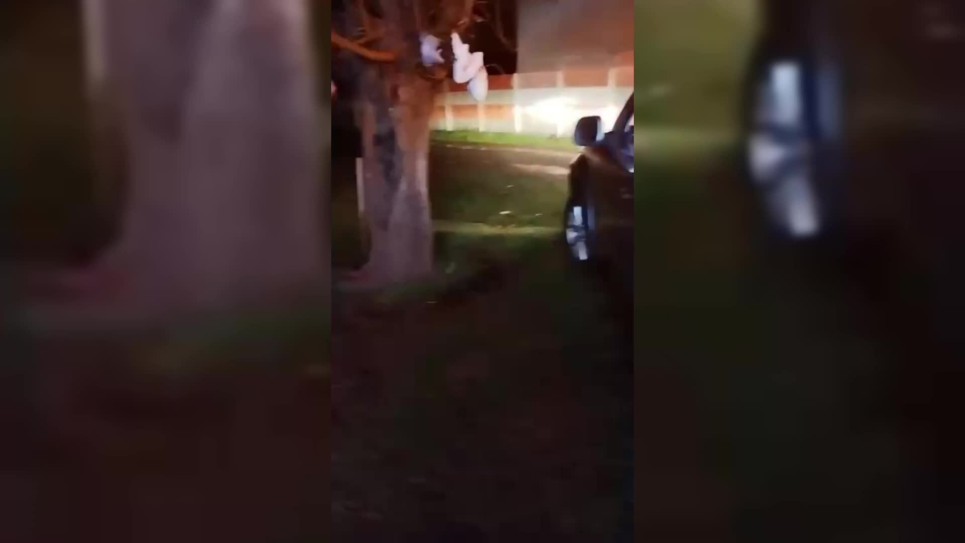 Bingöl'ün Genç ilçesinde sağanak nedeniyle iş yerlerini su bastı, ahırda mahsur kalan 12 keçi kurtarıldı