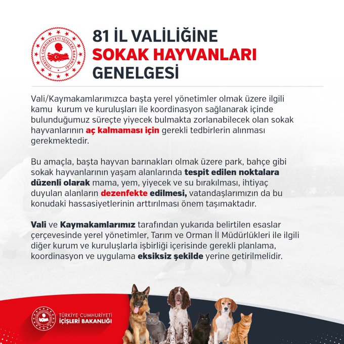 İÇİŞLERİ BAKANLIĞI’NDAN SOKAK HAYVANLARI İÇİN YENİ GENELGE