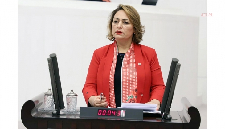 CHP’li Müzeyyen Şevkin: “Halk, ağız ve diş sağlığı hizmetine ulaşamıyor, diş hekimleri işsiz”
