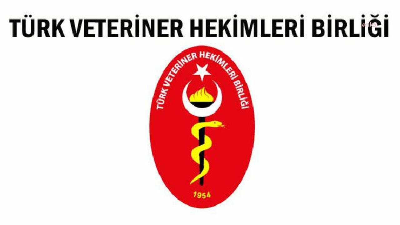 Türk Veteriner Hekimleri Birliği'nden Edremit’te toplu köpek ölümüyle ilgili açıklama: Sorumlular hakkında en ağır idari ve cezai yaptırımlar uygulanmalı