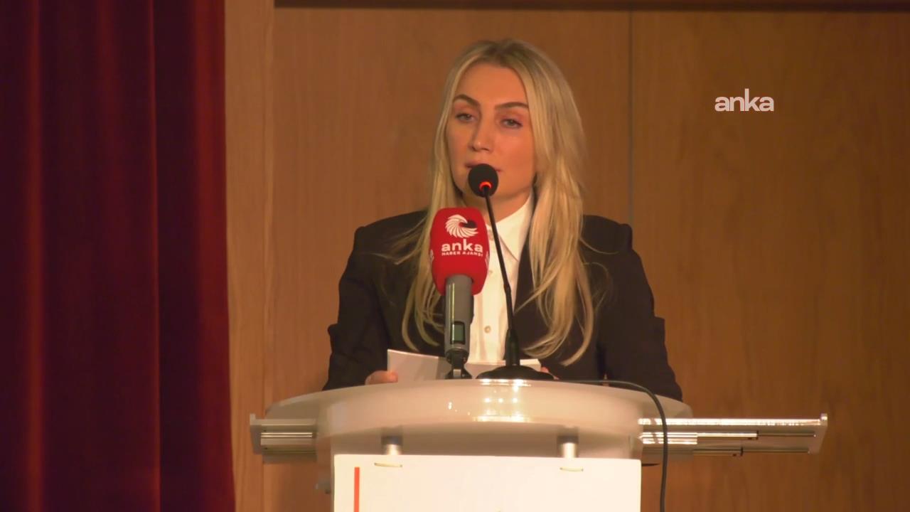 Dilek Kaya İmamoğlu: Tutuklamalar delillere değil, beyanlara dayanıyor
