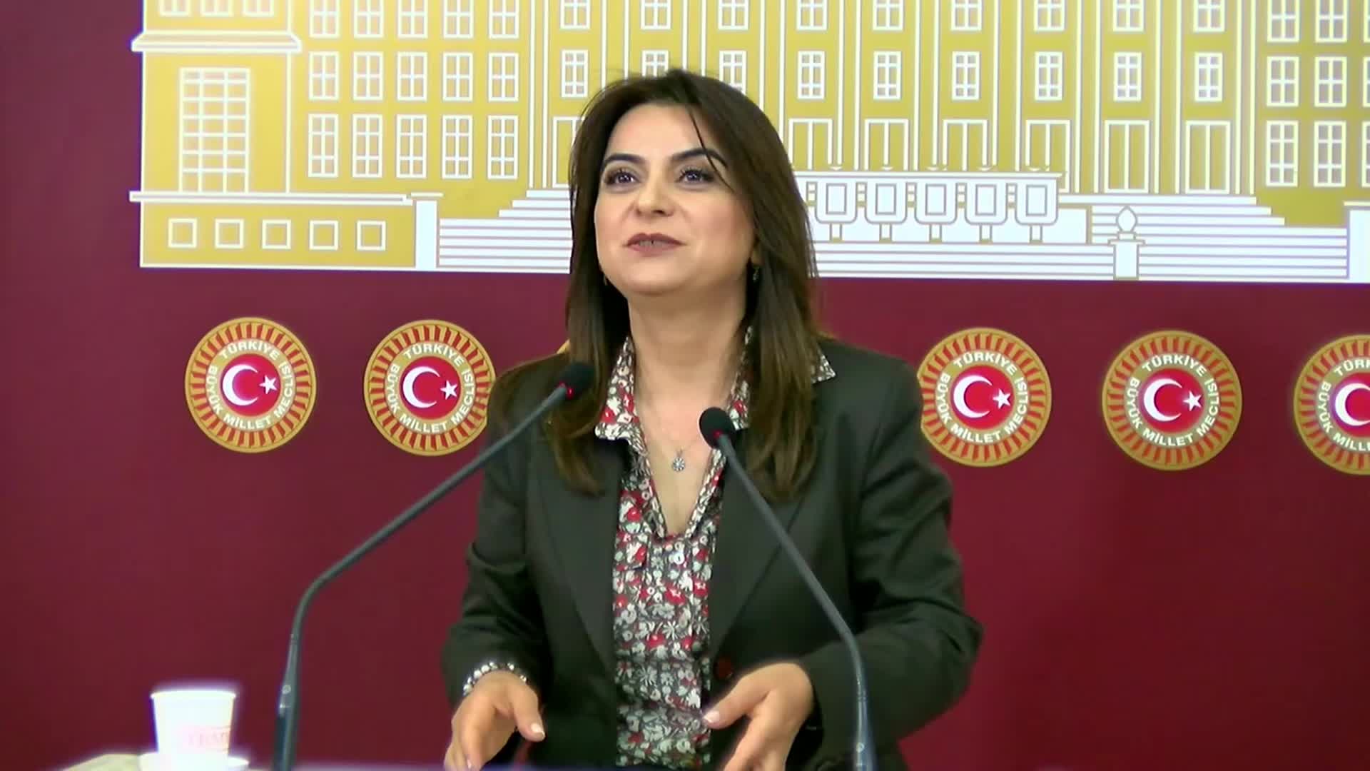 Gülistan Kılıç Koçyiğit: "Yapılması gereken milyonların Nevroz meydanlarında haykırdıklarına saygı duymak, gereklerini yerine getirmek olmalıdır"