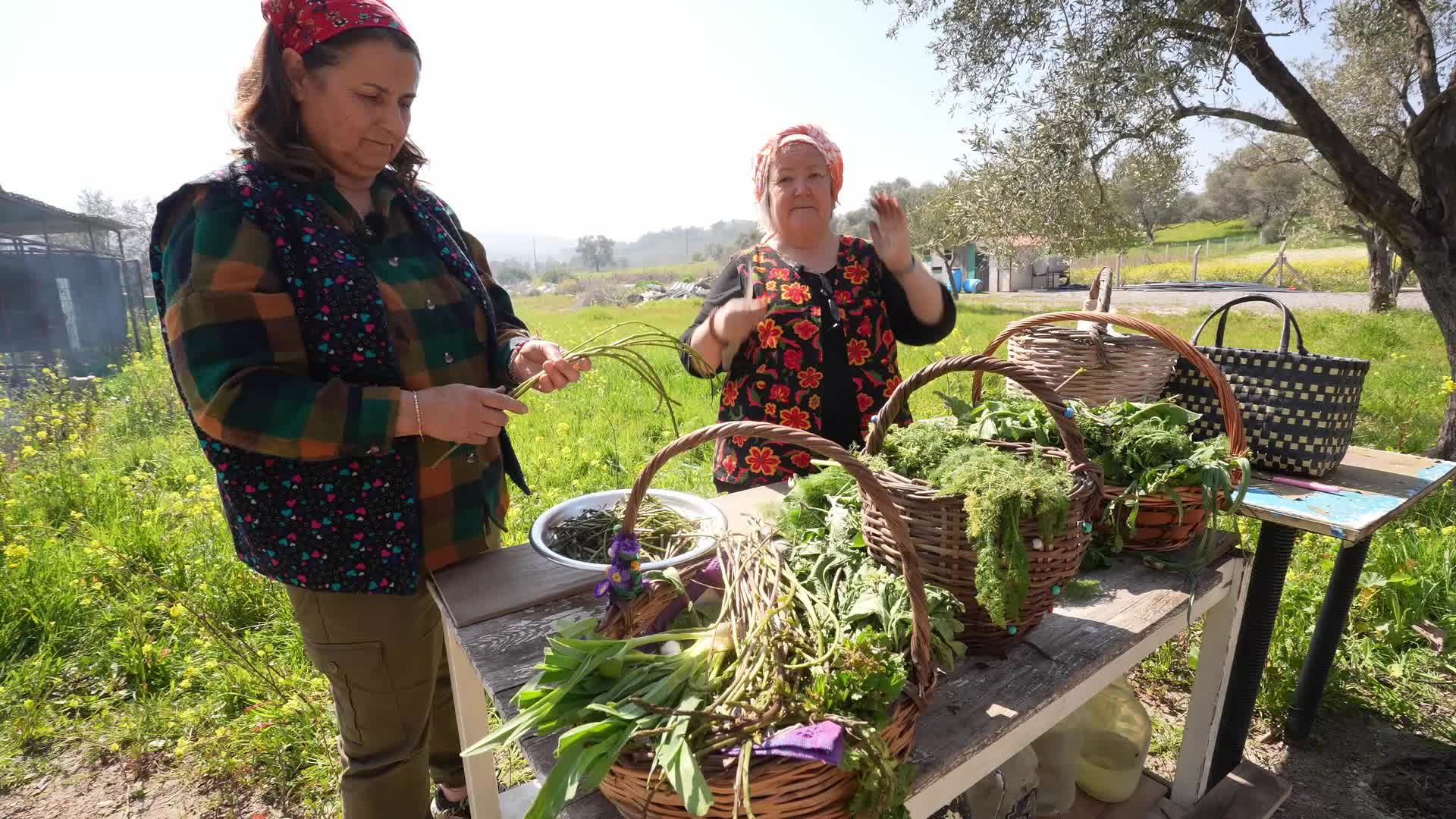 Urla'da baharın habercisi: Mart Dokuzu Ot Bayramı 28-29 Mart tarihinde gerçekleşecek