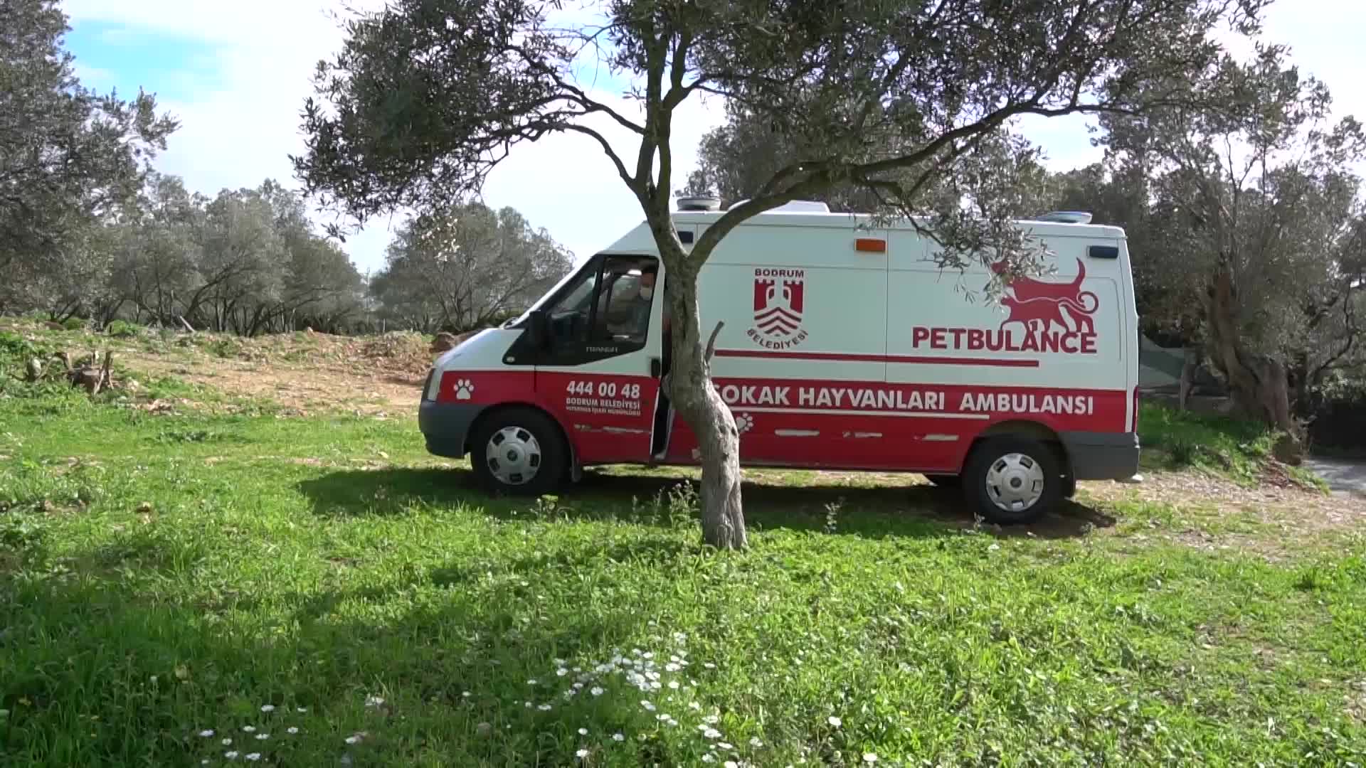 BODRUM BELEDİYESİ PETBULANCE EKİBİ, 500 GÜNDE 5 BİN VAKAYA MÜDAHALE ETTİ