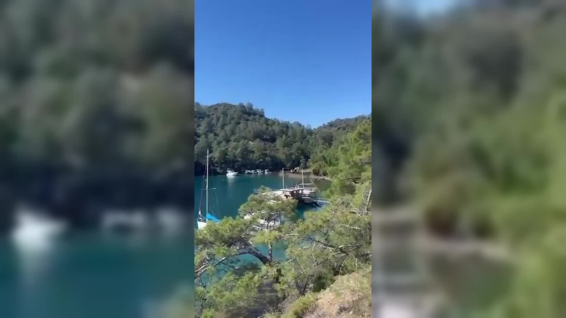 Ahmet Aras'tan Göcek'te sit alanında yapılmak istenen turizm projesine tepki: Endemik ağaçları keserek turizm tesisi yapmak hangi vicdana sığar?