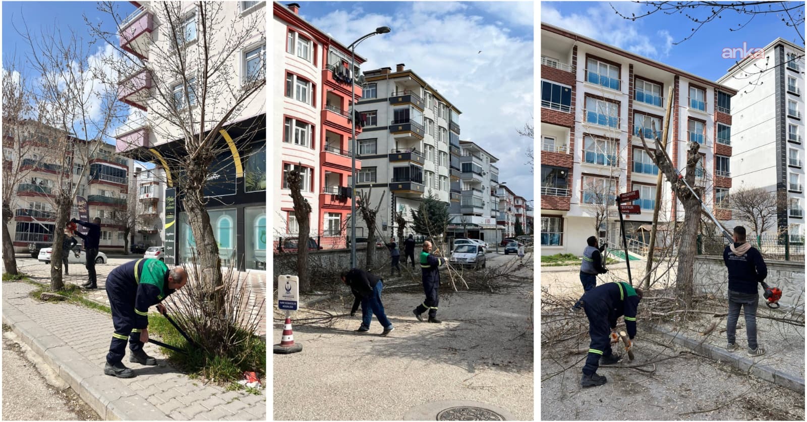 Kahramankazan'da ağaç budama çalışmaları sürüyor