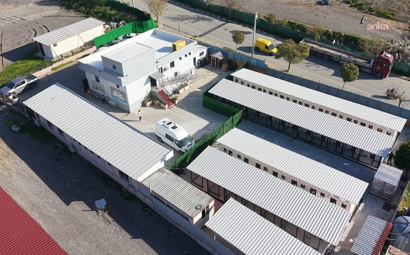 Bayraklı Belediyesi'nden hayvan bakımevinde kapsamlı yenileme çalışması